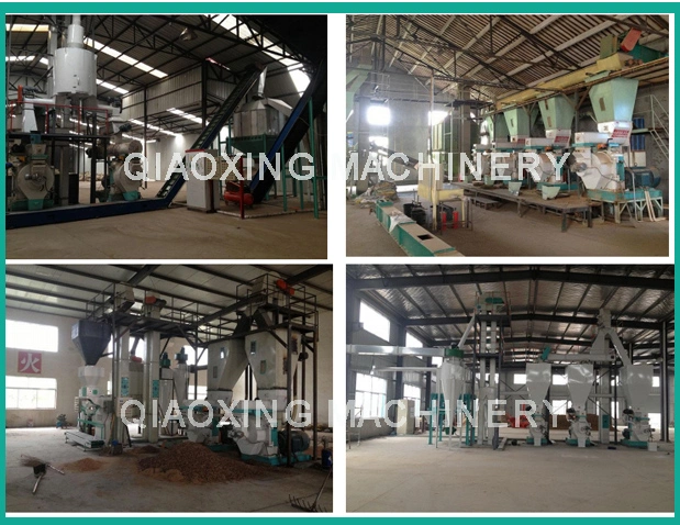 Automatic Lubrication 6-12mm Size Wood Pellet Machine Supplier From China